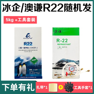 R22R410空调制冷液 氟利昂 制冷剂家用雪种药水加氟工具套装
