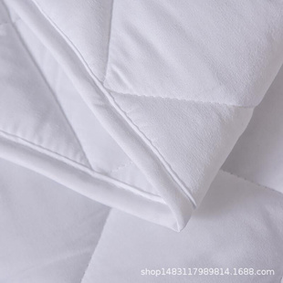 床垫床护垫 加厚防滑宾馆保护垫 星级酒店床褥子