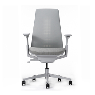 fern人体工学椅办公椅家用护腰升降靠背椅舒适久坐网布转椅