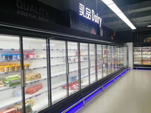玻璃门冰柜立式 冷冻柜低温奶柜 商场冰柜大容量 超市日配柜