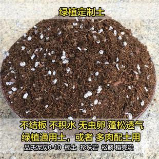 包邮 多肉植物介质土纯颗粒铺面石营养专用土发根服盆快透气老桩土