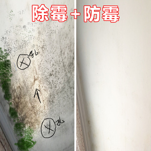 3瓶墙纸除霉剂墙体墙面衣服发霉去霉剂家具木材防霉剂卫生间厨房