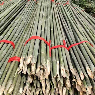 竹竿小竹子菜园搭架竹竿细竹子旗杆黄瓜豆角菜架竹杆支架细竹子杆