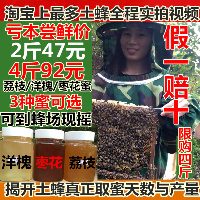 今年新鲜荔枝蜜 洋槐蜜 农家自产自销成熟野生土蜂蜜500g 枣花蜜