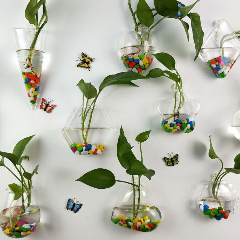 透明插花盆绿萝壁挂小鱼缸简约现代小花瓶 创意水培玻璃花瓶悬挂式