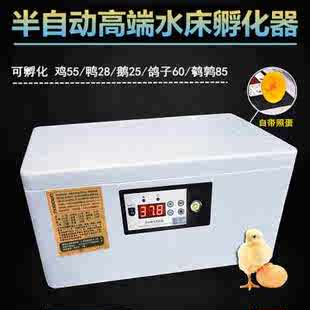厂销智能孵化器小型家用孵化机全w自动智能鸡鸭鹅鸽蛋保温箱水床