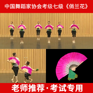 中国舞考级专用扇子手帕七级俏兰花八级安徽花鼓灯舞韵道具跳舞扇