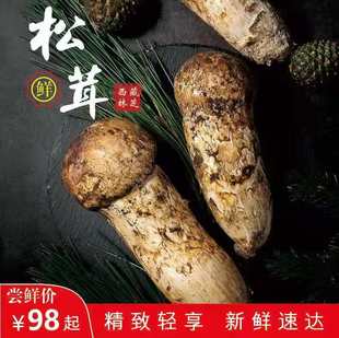9cm非云南松茸空运 西藏松茸新鲜野生菌菇白蘑菇精品出口级7
