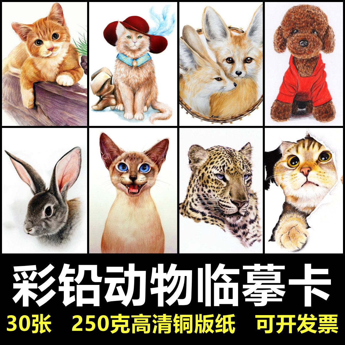 121少儿美术创意临摹卡片手绘范画彩铅猫狗动物30张考级画室素材