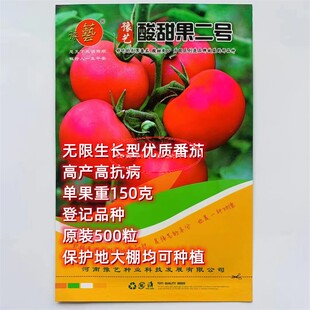 豫艺酸甜果二号水果番茄种子口感好优质高产商品性佳农家春秋播种
