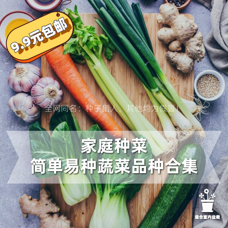 蔬菜 种子猎人国产小菜园合集生菜上海青小白菜樱桃萝卜秋冬四季