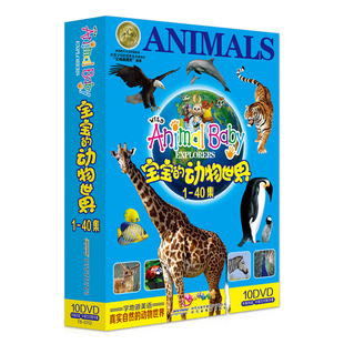 动物世界全集百科知识高清视频dvd碟片 幼儿童早教光盘宝宝 正版
