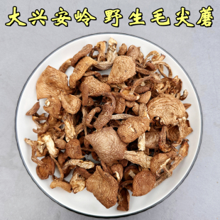 东北野生红毛尖蘑菇金子蘑罕见干香菇数量稀少煲汤食材路基蘑干货