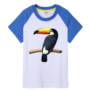 热带鸟类印花图案儿童T恤衣服 鹦鹉 男孩女孩白色运动纯棉巨嘴鸟