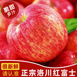 陕西洛川正宗一级富士苹果新鲜脆甜产地直发冰糖心孕妇果10斤现摘