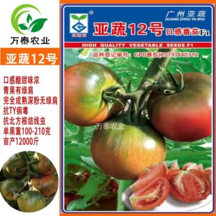 亚蔬12号口感草莓番茄种子绿肩酸甜铁皮草莓西红柿种子广州亚蔬