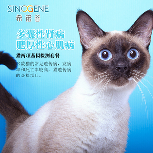 希诺谷猫咪两项基因检测套餐遗传病体检猫两项自选遗传病基因检测