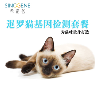 猫6项遗传病基因检测赛猫遗传病基因检测套餐