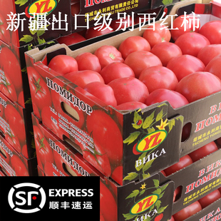 生吃自然熟铁皮草莓番茄5斤新鲜水果顺丰 新疆普罗旺斯沙瓤西红柿