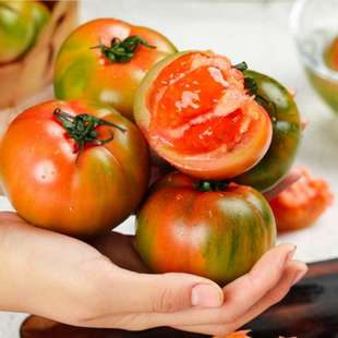 新疆吐鲁番草莓西红柿酸甜口新疆番茄新疆直发新鲜水果