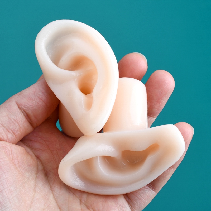 1假耳朵 天艺采耳教学模型仿真人耳软硅胶采耳教学培训长耳道1