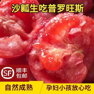 陕西泾阳新鲜普罗旺斯水果沙瓤西红柿番茄生吃蔬菜非柿愿绿行者