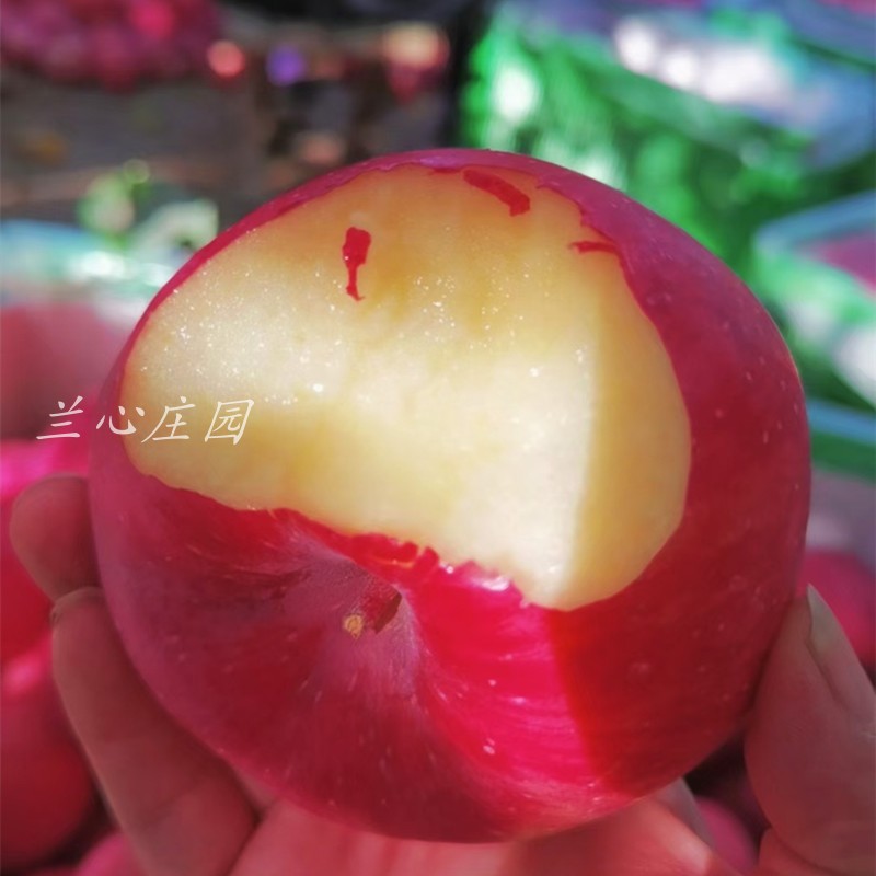 甘肃庆阳红富士苹果非烟台陕西新鲜水果当季 脆甜10斤整箱精品 包邮