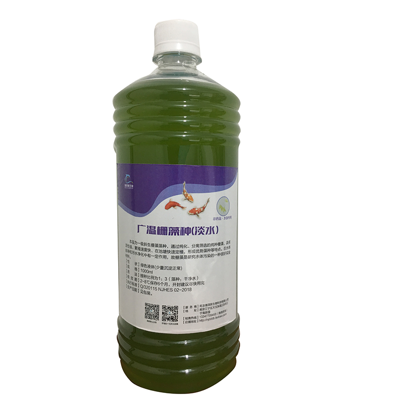栅藻藻种 鱼虫开口活饵 绿水调节水质肥水200ml加送50毫升 肥水