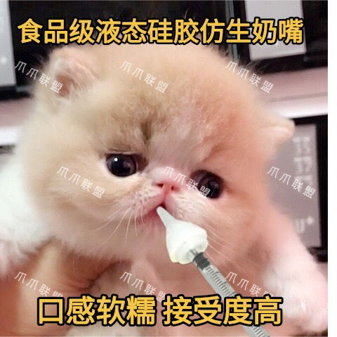 小猫咪幼猫奶猫猫用专用奶嘴奶瓶针管注射器 宠物喂奶神器刚出生