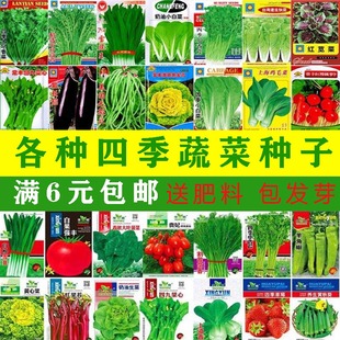 蔬菜种子豆角南瓜种孑芥兰菜荷兰豆西芹菜心种籽上海青菜籽种大全
