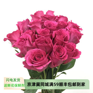 弗洛伊德玫瑰鲜花桃红色七夕情人节求婚生日礼物表白水培插花同城