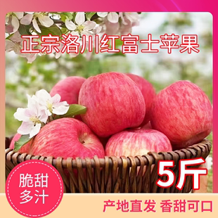 脆甜丑平果冰糖心一箱5斤 陕西洛川红富士苹果水果新鲜整箱当季