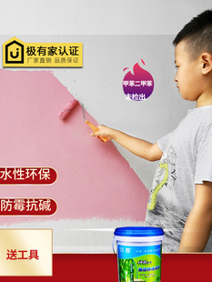 20KG 家用内墙乳胶漆粉刷墙漆室内自刷无味毛坯房墙面涂料大桶包装