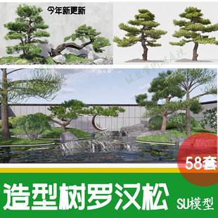 庭院植物造型树罗汉松迎客松院子黑松松树su模型 日式 草图大师中式