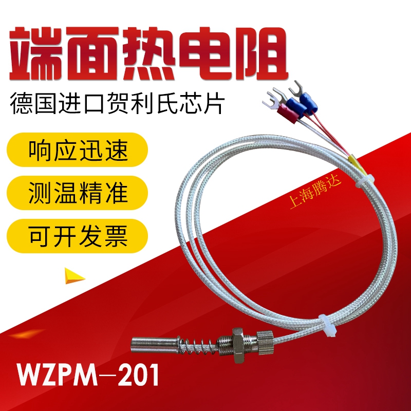 201轴瓦测温探头pt100温度传感器螺纹热电阻轴承 端面热电阻WZPM