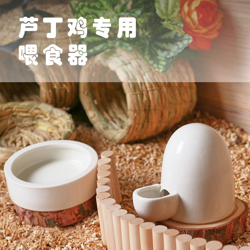 芦丁鸡喂食器鹌鹑网红鸡鸟小雏鸡食槽水槽水壶自动饮水器饲料食盒