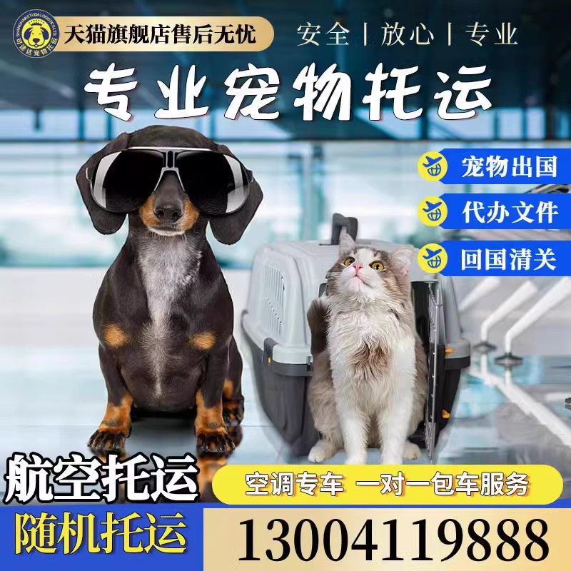 上海国际宠物托运全国出国手续文件国内猫猫狗狗航空专车托运服务