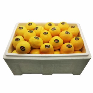 黄金油桃新鲜水果黄油桃桃子大果当季 现摘现发整箱整箱顺丰 包邮