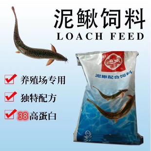 通威泥鳅饲料营养高蛋白小颗粒型台湾泥鳅苗养殖专用黄金泥鳅鱼食