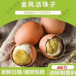 金凤活珠子40枚新鲜13天鸡胚蛋五香即食熟毛蛋凤凰蛋钢化蛋