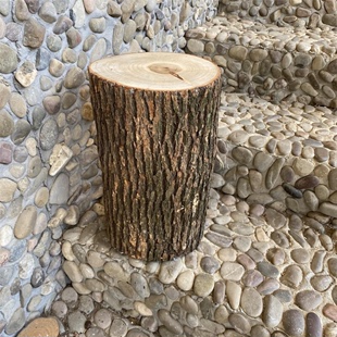 香樟木子墩座樟树墩树木木桩木头墩子实木凳子茶几底木凳子实带皮