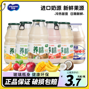 养味牛奶饮品乳酸菌芒果草莓香蕉果味220g整箱儿童学生早餐奶饮料
