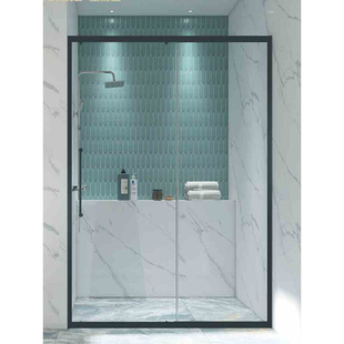 圣莉亚淋浴房定制一字形隔断干湿分离网红窄浴室卫生间玻璃推拉门