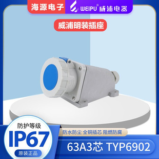 220V 63A3芯 TYP6902 IP67 插座 WEIPU威浦防水工业明装