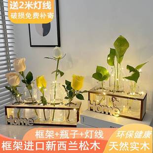 饰水 工位氛围布置创意绿萝水培植物玻璃花瓶插花器办公室桌面装