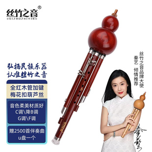 丝竹之音葫芦丝全红木黑檀木加键通用型民族吹奏乐器成人专业演奏