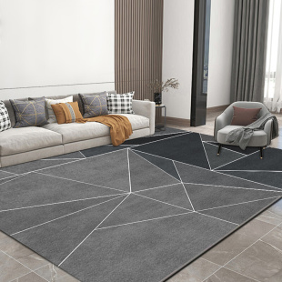现代简约地毯客厅灰色隔音垫子高级轻奢茶几毯大面积全铺卧室地垫