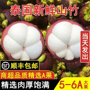 价5A6A 泰国进口山竹大果2 10斤水果新鲜应季 现货速发