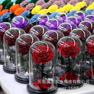 520七夕情人节生日创意礼物玫瑰永生花玻璃罩礼盒成品 保鲜花