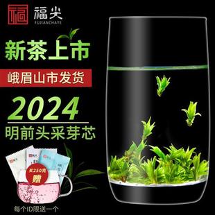 特级小叶苦丁茶官方旗舰店2024新茶叶四川青山绿水米芽 苦丁茶正品
